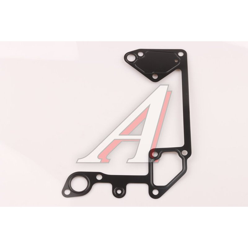 Water pump gasket SITRAK HOWO TORERO