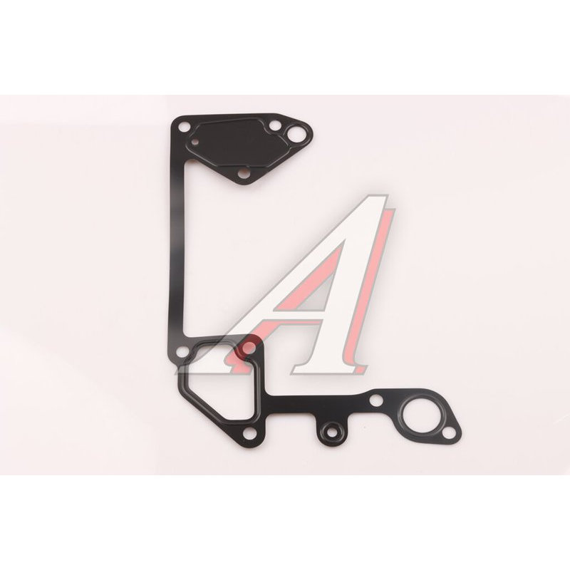 Water pump gasket SITRAK HOWO TORERO