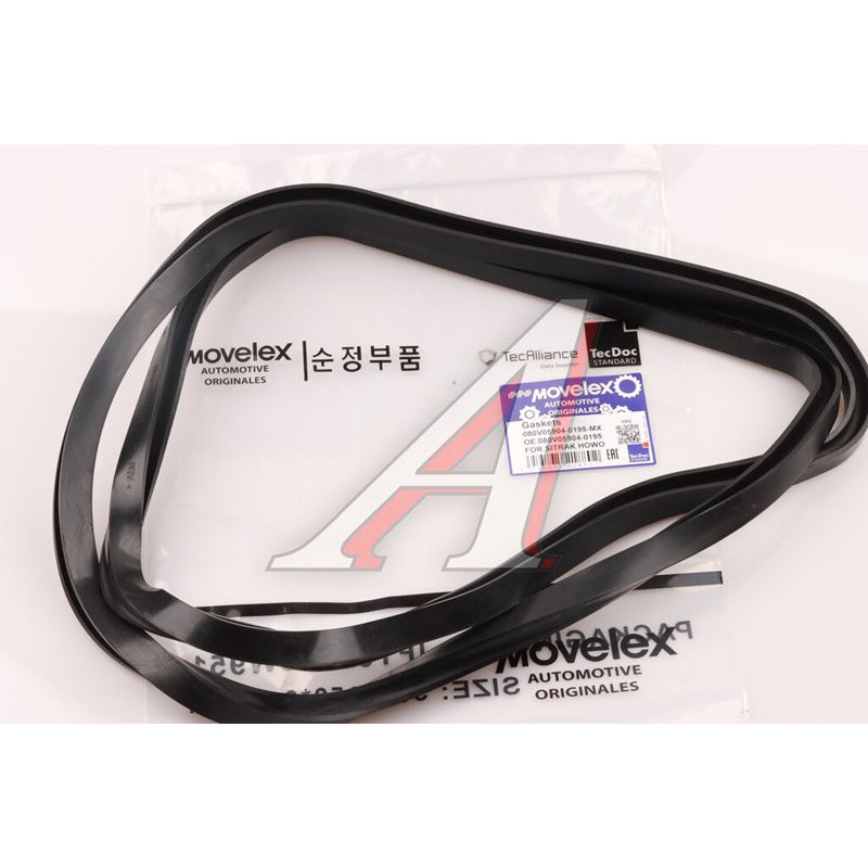 Engine Pan Gasket SITRAK HOWO TORERO